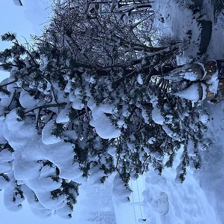 Gehrihorn By Interhome