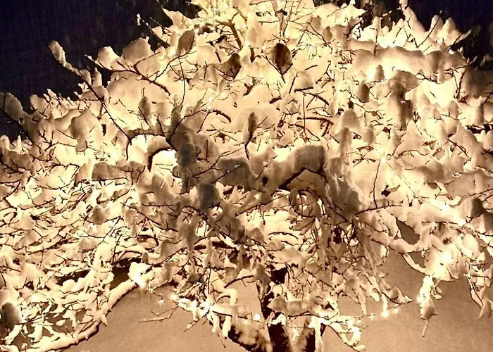 Gehrihorn By Interhome Apartment