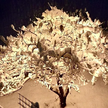 Gehrihorn By Interhome דירה